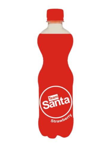 Team Santa Bottle